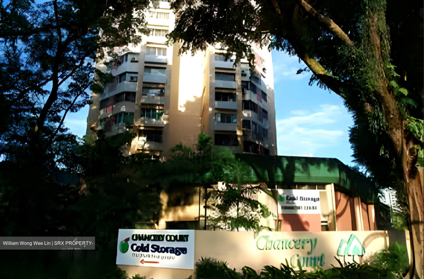 Dunearn Road (D11), Condominium #580071831